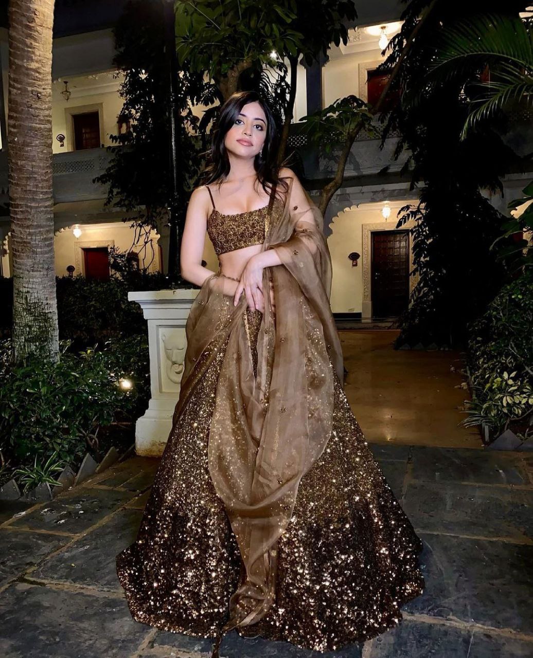 Brown Color Heavy Work Lehenga Choli